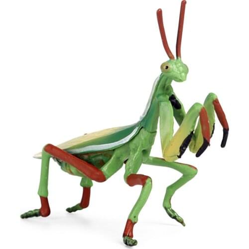 Simulation Insect Animal Action Figures Collection PVC Toy Kids Gift Praying Mantis Model Action Figure