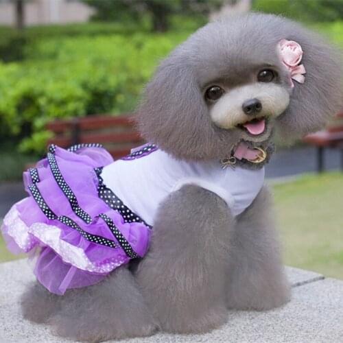 Pet Dog Clothes New Sweetheart Princess Dress Polka Dot Pettiskirt Dress All Seasons Dog Clothes Dogs Pets Clothing Christmas