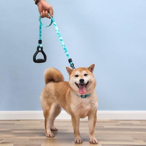 Pet Traction Rope Medium And Large Dog Traction Rope Rubber Handle With Lock Anti-unhook Dog Chain