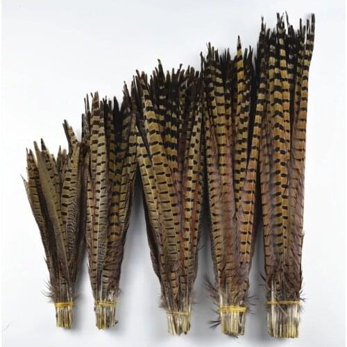 Natural pheasant feather 20-90cm ringneck pheasant tail feather for wedding/dress/diy decoration