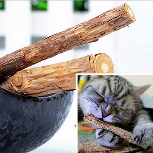 5Pcs/1Bag Pet Cat Kitten Chew Stick Treat Toy Natural Matatabi Catnip Molar Food