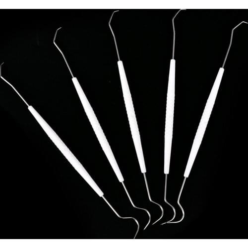 10PCS/Lot One-time Double Hook Temporary Stainless Steel Dentist Tool Set Tooth Dental Explorer Dentalist Probe Materials