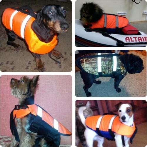 SPASS Clothes And Footwear For Dogs