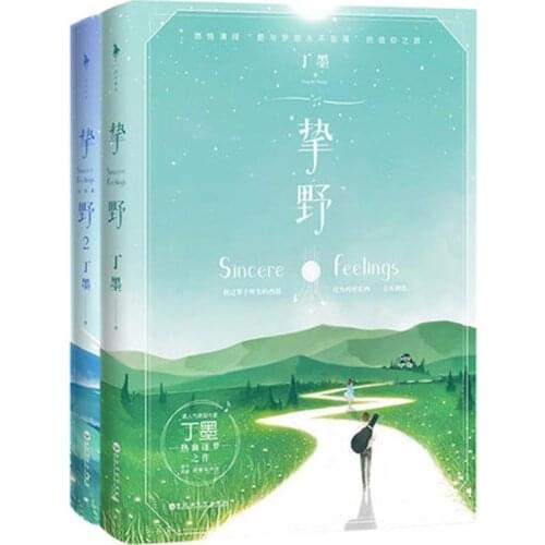 2 PCS/SET Zhi Ye I II By Ding Mo Love stories in youth literature Book
