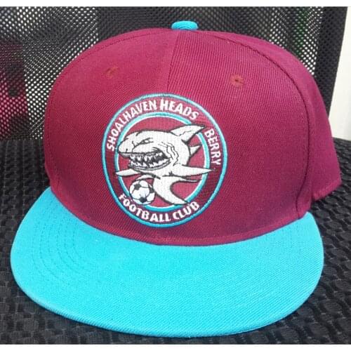 Customize make Snapback hats 50 pcs Per Style Per Color ,Youth Kids hats as Customer Request