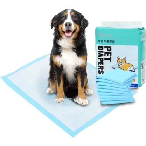 HOOPET Pet Training Pads Super Absorbent Diaper for Dogs Dog and Puppy Leak-proof Pee Pads with Quick-dry Surface Dog Products