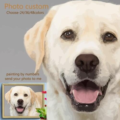 HUACAN Photo Custom Animal Scenery DIY Painting By Numbers Pet Picture Drawing Coloring By Numbers Flower Figure 24/36/48 Colors