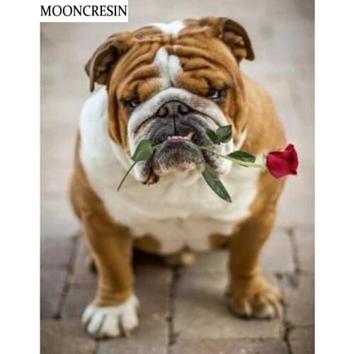 Diy Diamond Embroidery Mosaic Patterns Crystal Cross Stitch Kit Full Drill 5D Diamond Painting Dog and Rose Kids Room Decoration