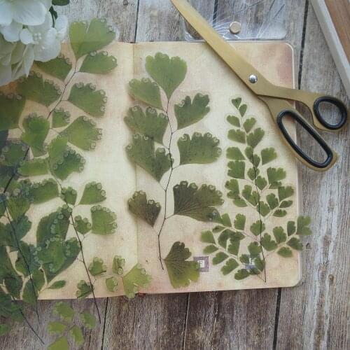 6pcs Big Size Natural Green Umbrella Leaf Style PVC Transparent Sticker Scrapbooking DIY Gift Decoration Tag