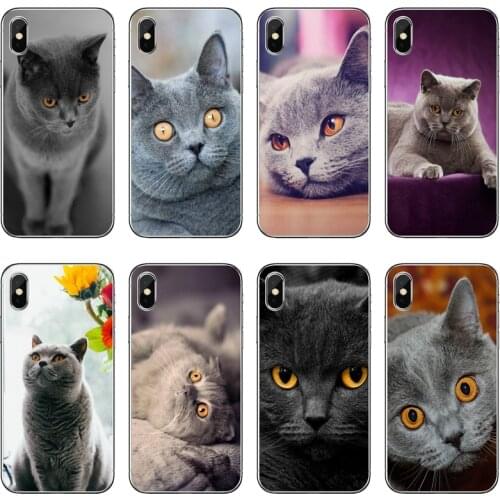 British Shorthair cat Soft Phone Case For Samsung Galaxy Note 10 9 8 5 4 S10E S10 Lite S9 S8 S7 S6 Edge Plus S5 S4 Mini