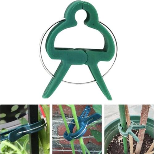 100pcs Garden Plant Fixed Clip Vines Grape Support Fastener Vegetable Flower Tied Buckle Clamp Greenhouse Plant Support Bracket