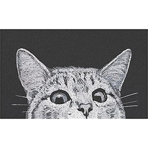 Welcome Outdoor Doormats At The Entrance Wear-resistant and Dirt Resistant Foot Mat At The Entrance Mat Carpet