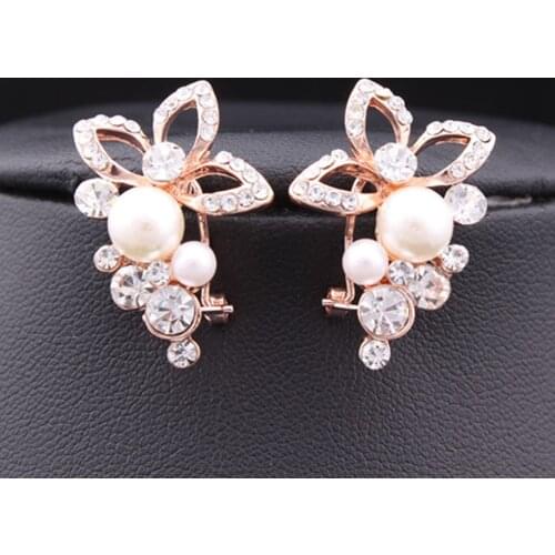1 Pair Women Ladies Crystal Rhinestone Pearl Flower Grape Earrings Wedding Party Jewelry