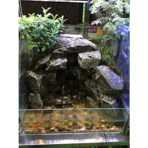 Chameleon lizard reptile rockery water rainforest tank rock background board amphibious tank With pool can plant decoration new