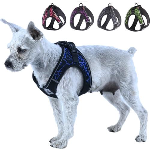 Dog Harness For Small Medium Dogs No Pull Adjustable Reflective Pet Vest Collar Dog Jogging Mesh Clothes Puppy Cat Harness Strap