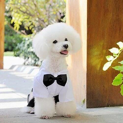 Dog Bow Tie Suit Portable with Strap Cloth Stylish Pet Clothes for Outdoor