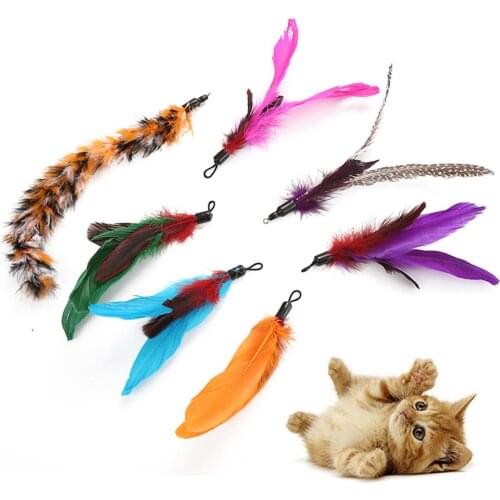 7Pcs Pet Cats Kitten Feather Teaser Play Stick Replacement Heads Scratch Toy