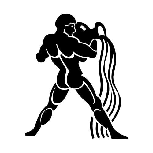 Aquarius Decoration Vinyl Stickers Die Bumper Sticker Decor Car Window Side L073