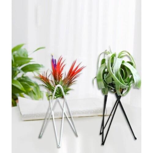 Air Plant Holder Metal Flower Pot Stand Geometric Iron Tillandsia Display Art