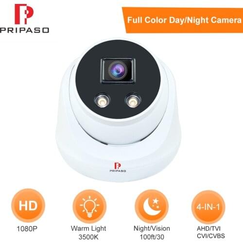 Warm Light Full Color Night Vision 2.0MP Camera 4 in 1 TVI/AHD/CVI 1080P Mini Plastic Dome CCTV Home Security Surveillance Cam