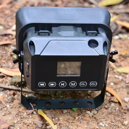 LTL ACORN Hunting Decoys