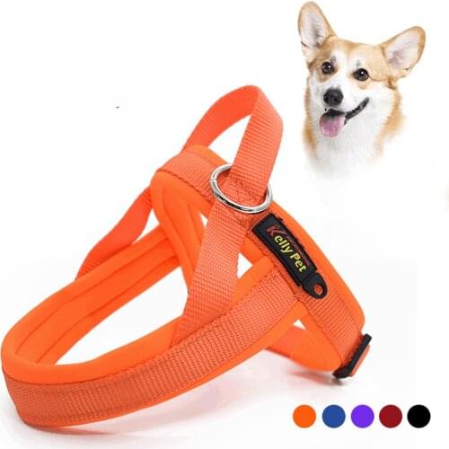 No Pull Neoprene Dog Harness Leash Set Pet Vest Lead For Small Medium Large Dogs Daily Training Walking Nylon Harnesses S-XL