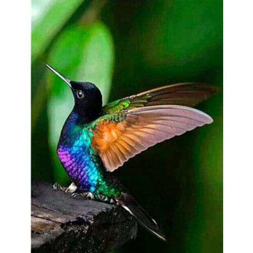 Painting By Numbers DIY Dropshipping 40x50 50x65cm A Delicate Hummingbird Animal Handmade Gift For Adult Unique Gift Home Decor