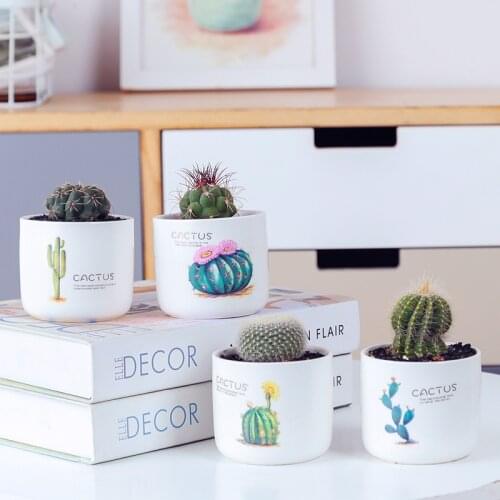 Set of 4pcs Flowerpots Green Leaf Cactus Design Succulent Planter with Bamboo Stand Animal Fox Zebra Decorative Planter
