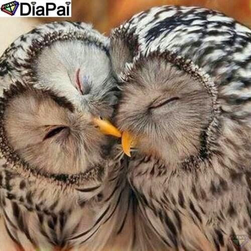DiaPai 100% Full Square/Round Drill 5D DIY Diamond Painting "Animal owl couple" Diamond Embroidery Cross Stitch 3D Decor A19083