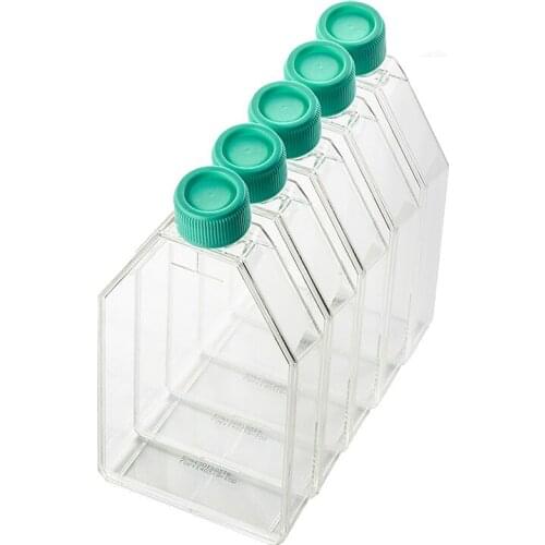Cell and Tissue Culture Flask Canted Neck Flasks 600ml Standard Surface Treated Cell Growth Area 182cm2 Sterilized Package 5/PK