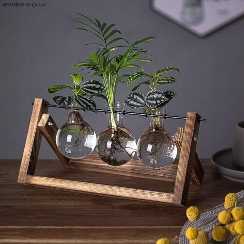 Simple Transparent Glass Vase Decoration Creative Living Room Desktop Hydroponic Planting Flower Arrangement Glass Container