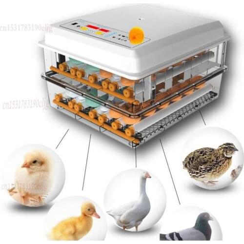 Incubator Full Automatic Household Small Incubator Intelligent Constant Temperature Chicken Cole Duck Peacock Parrot Incubator