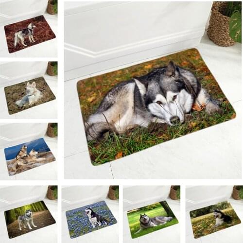 Pet Dog Animal Door Mat Non-Slip Doormat Flannel Carpet Floor Mat for Bedroom Hallway Decor Siberian Husky Dog Rug 40x60cm