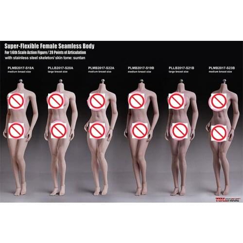 In Stock 1/6th TBLeague Stainless Steel Bone Rubberized Female Body S18A S19B S20A S21B S22A S23B Figures Collection