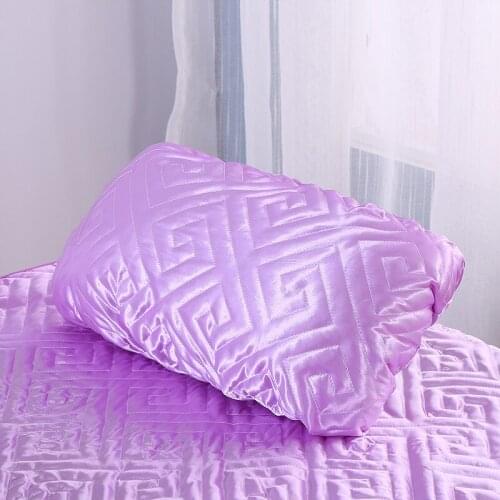 30*55cm Beauty Salon Pillowcase Pillow Cover Beauty Salons Full Face Pillow Pillowcase Cousion De Salon De Luxe
