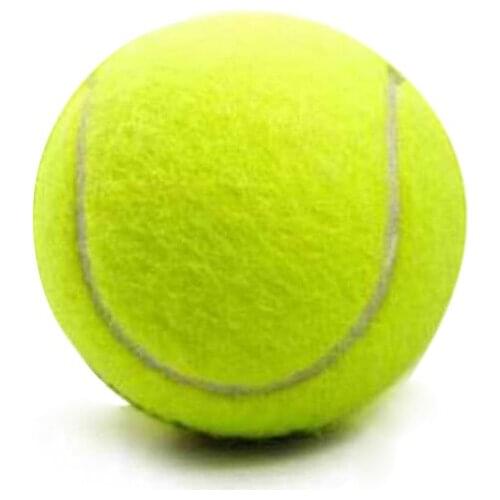 Tennis Balls Sports Tournament Outdoor Cricket Beach Dog Toy Game Great Bounce