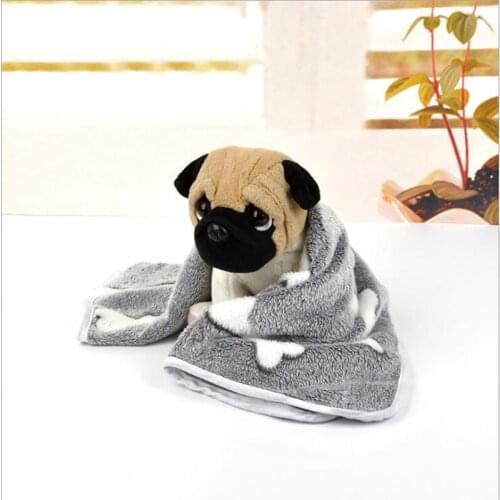 Cat Bed Soft Fleece Pet Bed Blanket Spring Autumn Pet Dog Beds Cat Mat Foot Print Warm Sleeping Mattress Small Medium Dogs Beds