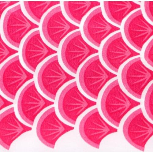 55cm Koi Nobori Carp Wind Socks Koinobori Colorful Fish Flag Hanging Wall Decor