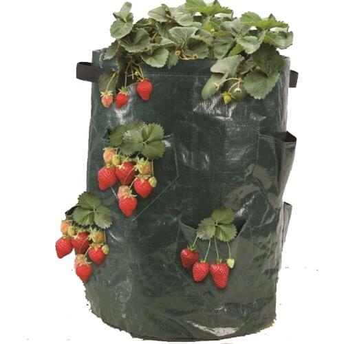 Strawberry grow bag,Gardening Flower Pot Planting Bag Living Indoor Wall Planter garden tool