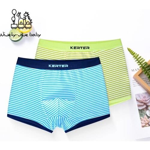 2 Piece Kids Boys Underwear Cartoon Childrens Shorts Triangle briefs for Baby Boy Boxers Stripes Teenager Underpants 5-14T