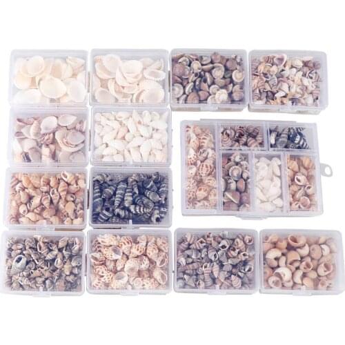 Mix Style Natural Shell 1-3cm 1 BOX Natural Conch Shells Mini Conch Corn Screw Wall Decoration DIY Aquarium Landscape Seashells