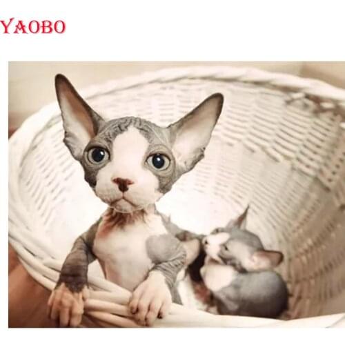 Full Drill square Diamond Embroidery cute pet 5D DIY Diamond Painting mosaic Sphynx Cat Animal Pattern Cross Stitch wall decor