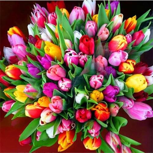 DIY 5D Diamond Painting Kits Full Round With AB Drill Tulip Diamond Embroidery Mosaic Flower Handicraft Home Decor Gift Art