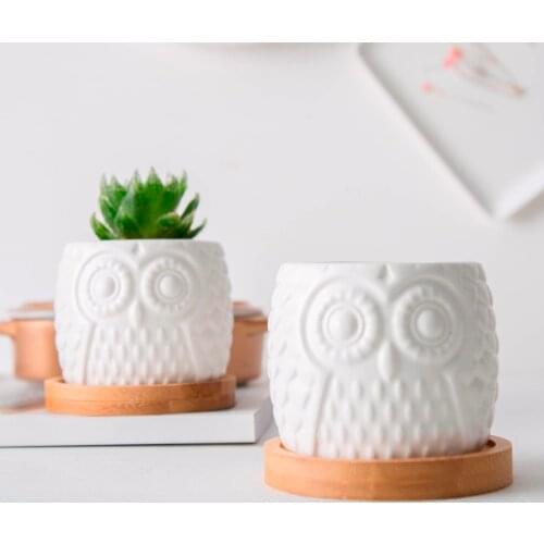 Ceramic Succulent Flowerpot White Owl With Bamboo Tray Holder Cute Cactus Flower Pots Bonsai Groot Planters Desktop garden decor