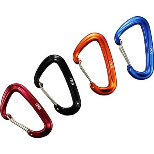 Professional Climbing Carabiner D Shape Mountaineering Buckle Hook 12KN Safety Lock Outdoor Climbing Equipment Accessory