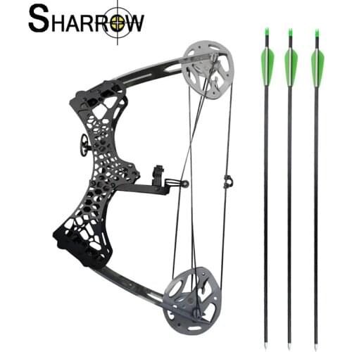 1set 35lbs Archery Imported Steel Compound Bow Mini Hand Grip Hunting Fishing Bow for Camping Self-defense Hunting Accessories
