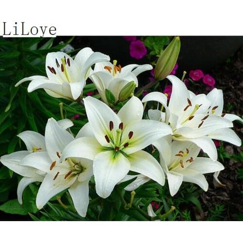 LI LOYE DIY lily Painting Full square 5D Diamond Painting Cross stitch kits mosaic embroidery Flower Diamond painting Gift FZ279