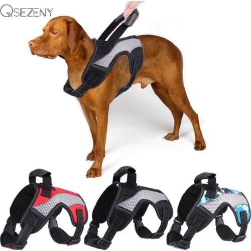Qsezeny Harnesses