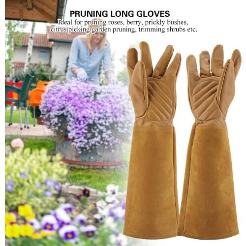 Garden Beekeeping Anti-bite Glove Rose Pruning Gardening Leather Gloves Wearproof Puncture Proof Long Work Glove