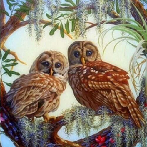 Full diamond embroidery Couple owl home decor 5d diamond painting cross stitch fashion diamond mosaic pictures of rhinestones